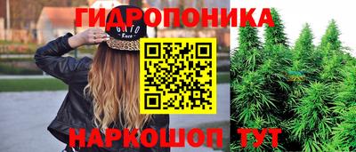 ECSTASY Будённовск