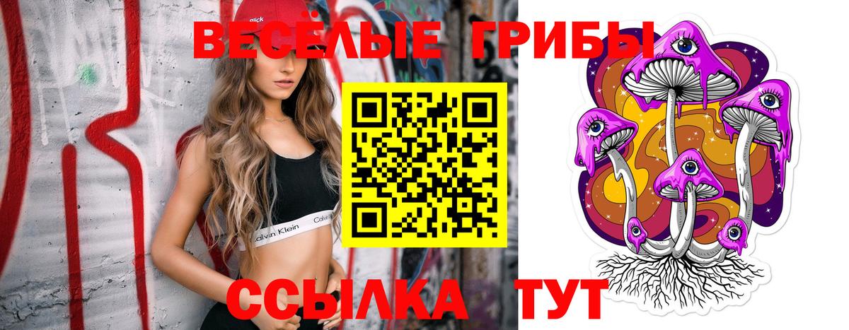 Псилоцибиновые грибы GOLDEN TEACHER  закладка  Похвистнево  Вход с VPN  Псилоцибиновые грибы Cubensis 